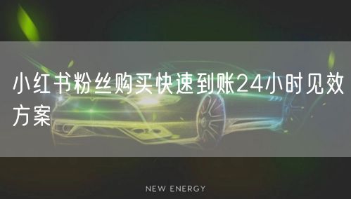 小红书粉丝购买快速到账24小时见效方案