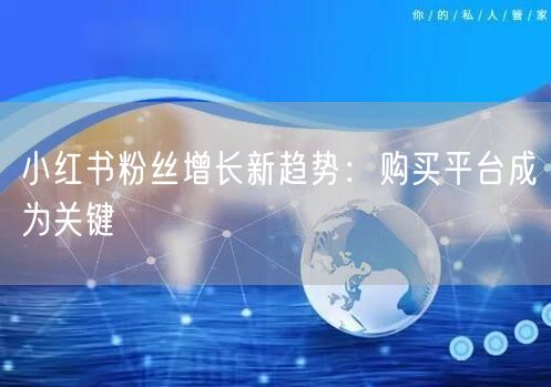 小红书粉丝增长新趋势:购买平台成为关键
