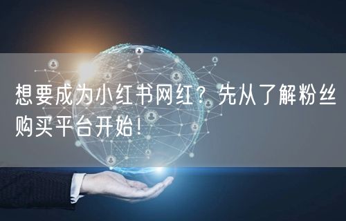 想要成为小红书网红？先从了解粉丝购买平台开始！