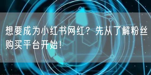 想要成为小红书网红？先从了解粉丝购买平台开始！